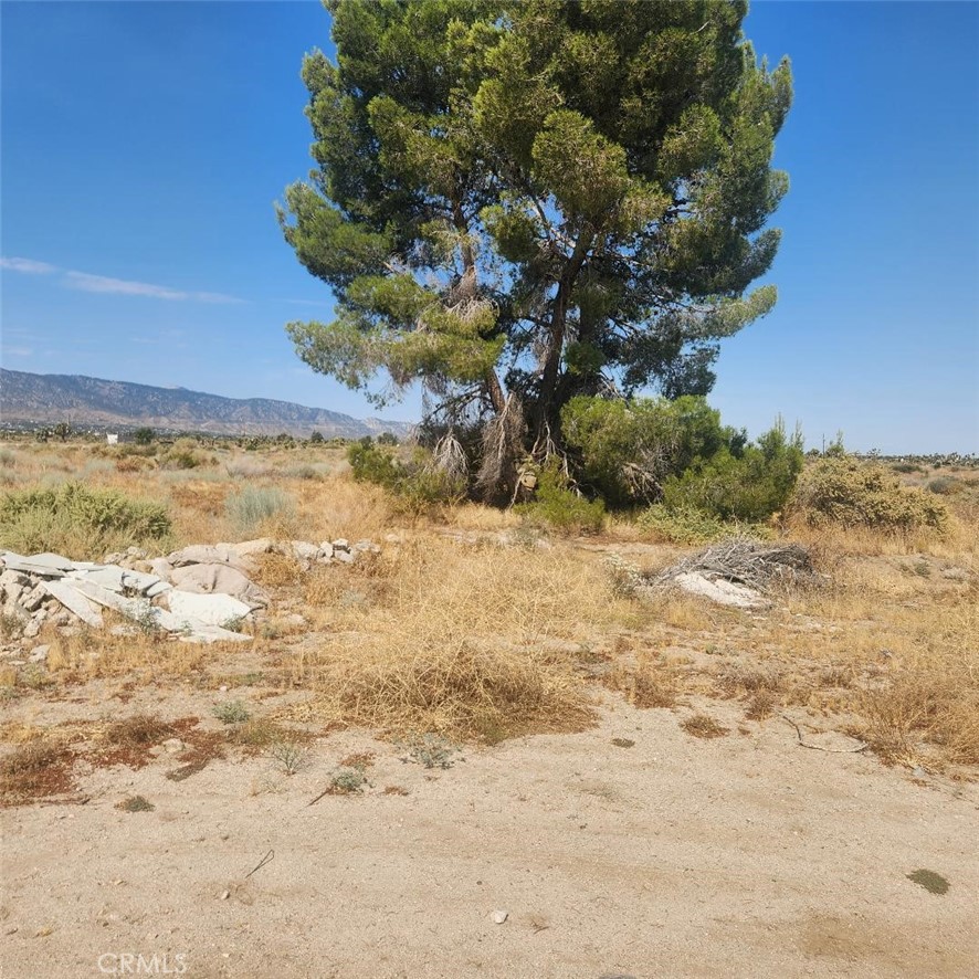 0 Riggins Road Phelan, CA 92371 - Photo 1 of 1 Gallery Image 1