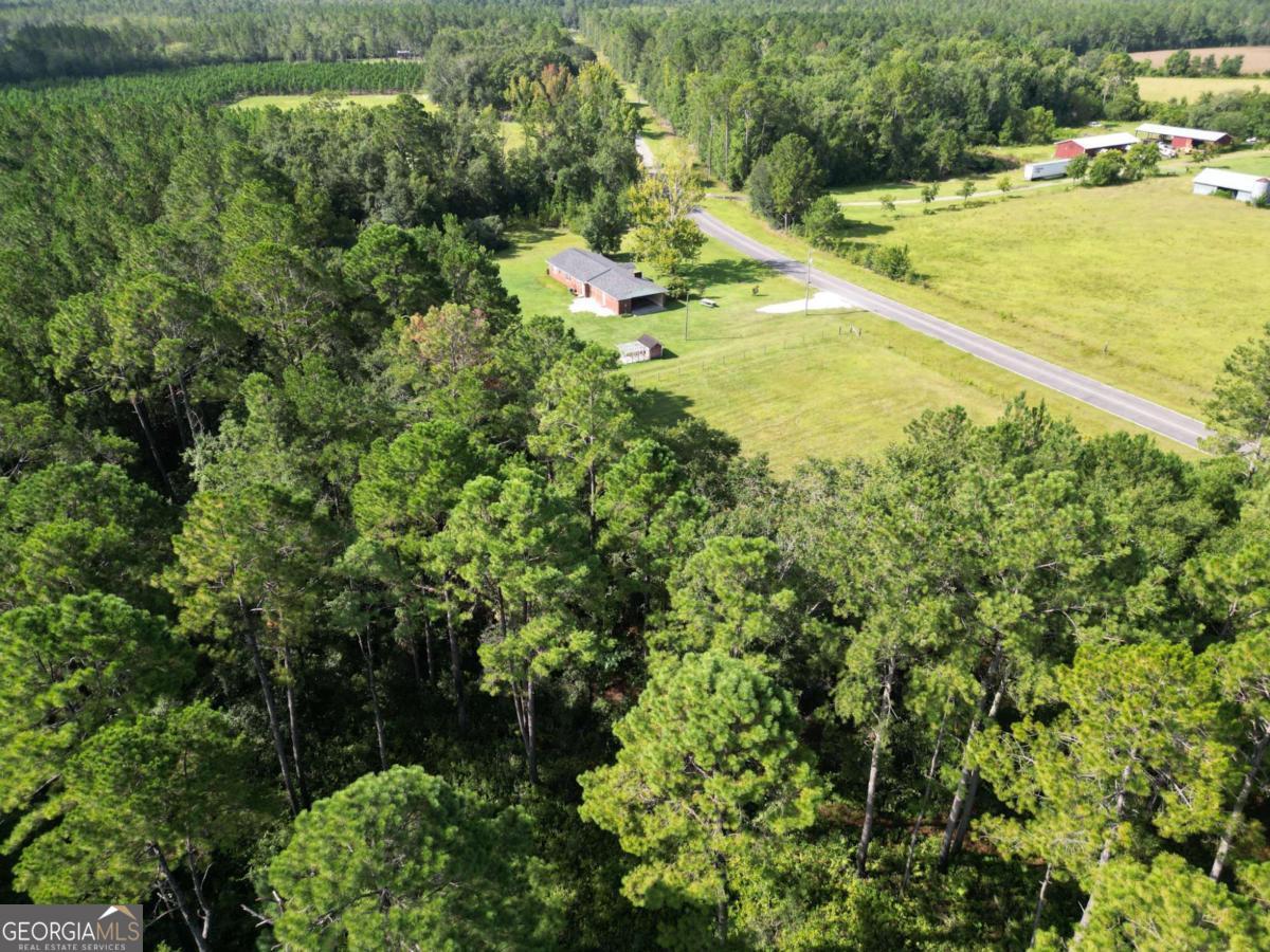 1597 Dairy Road Hinesville, GA 31313 - Photo 51 of 55
