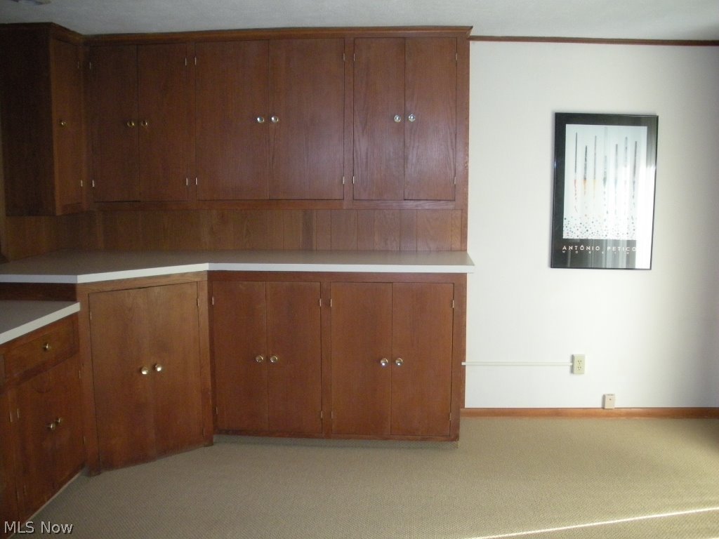 2561 Laurelhurst Road Cleveland, OH 44118 - Photo 18 of 20 Family Room / Loads of Storage
