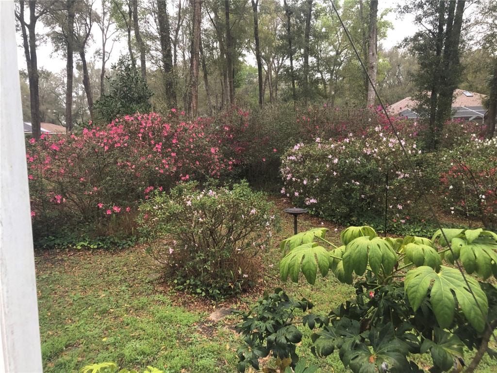 101 Place Road Dunnellon, FL 34432 - Photo 1 of 1 Gallery Image 1