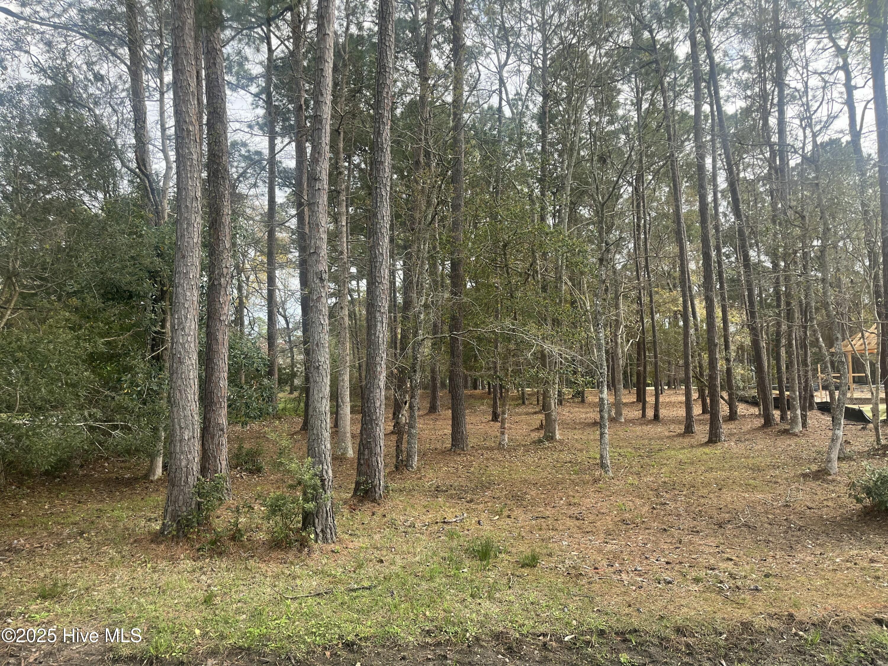 359 Genoe's Point Road Southwest Supply, NC 28462 - Photo 1 of 10 359 Genoes Pt