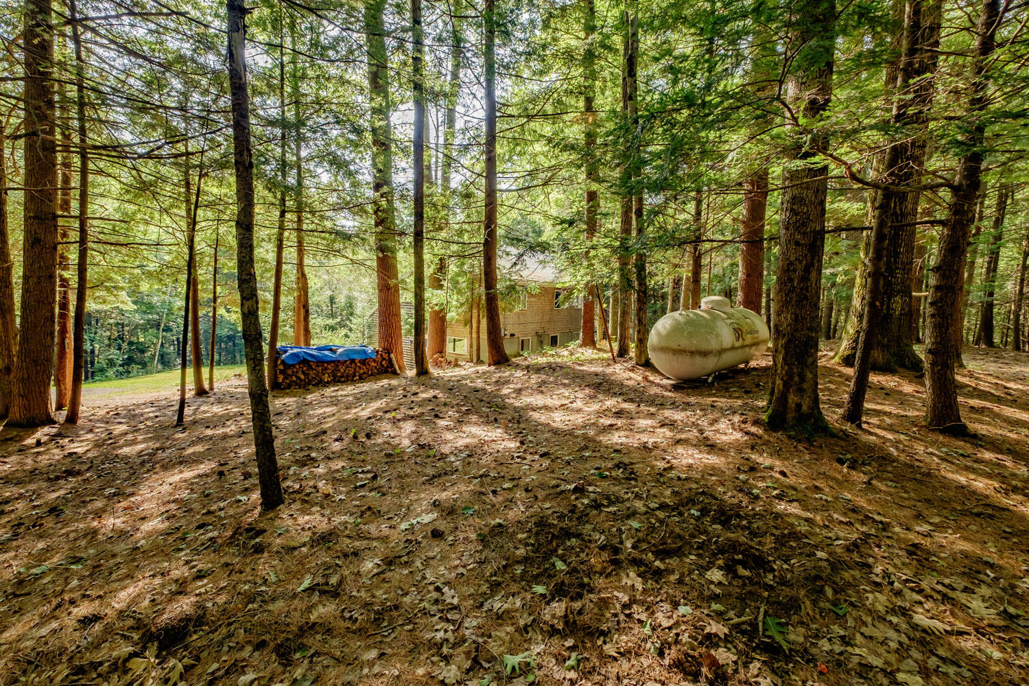 340 Joy Valley Road Buxton, ME 04093 - Photo 57 of 58 20190911gp-62058
