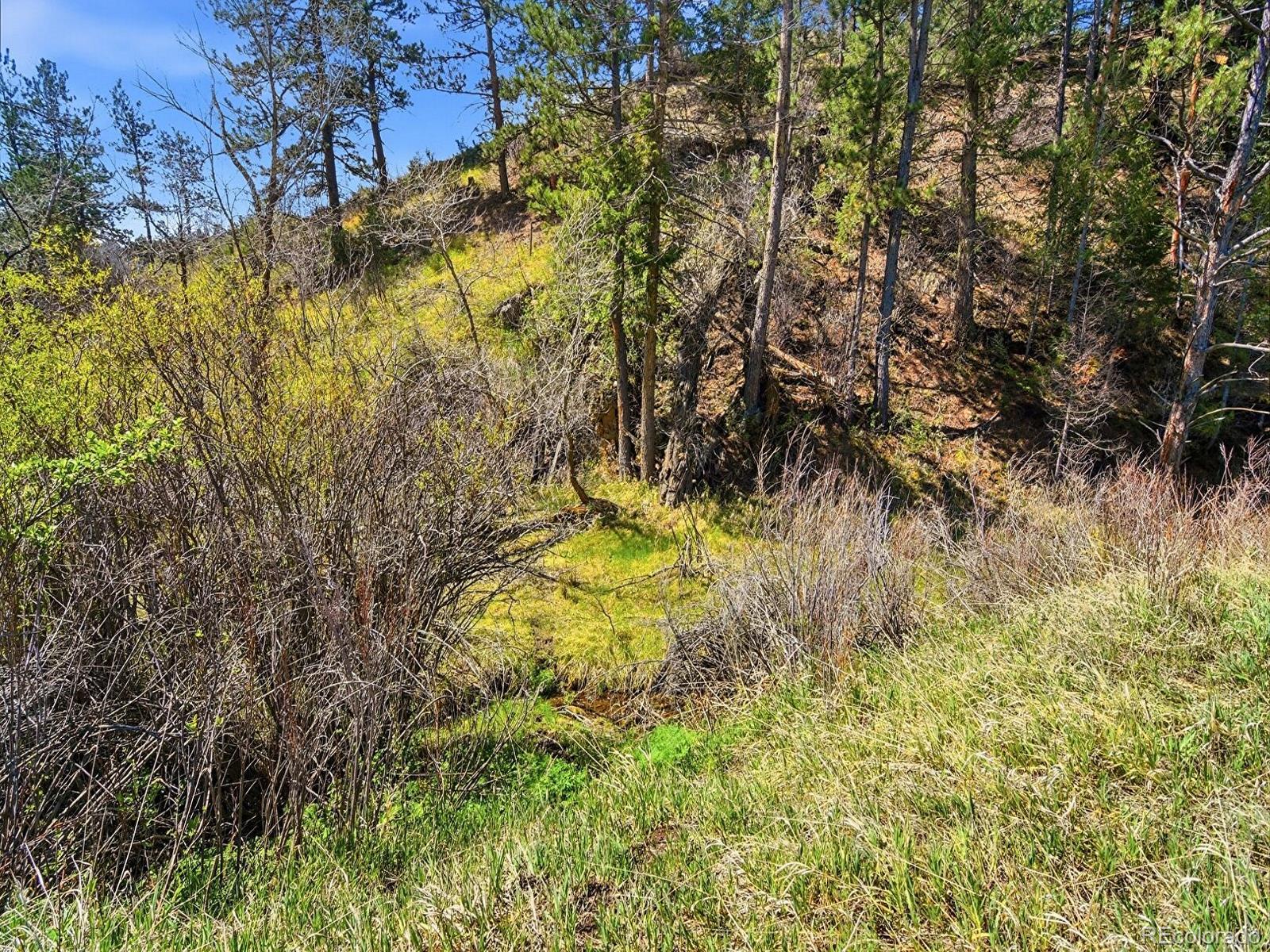 2830 Kerr Gulch Road Evergreen, CO 80439 - Photo 36 of 48 a view of a yard