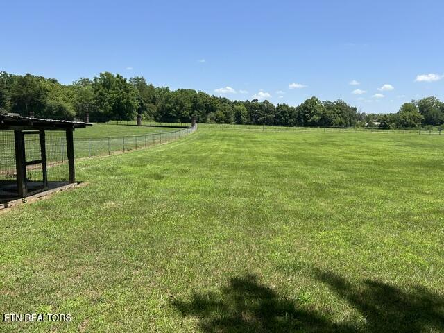 155 Quarry Road Speedwell, TN 37870 - Photo 20 of 28 IMG_9976