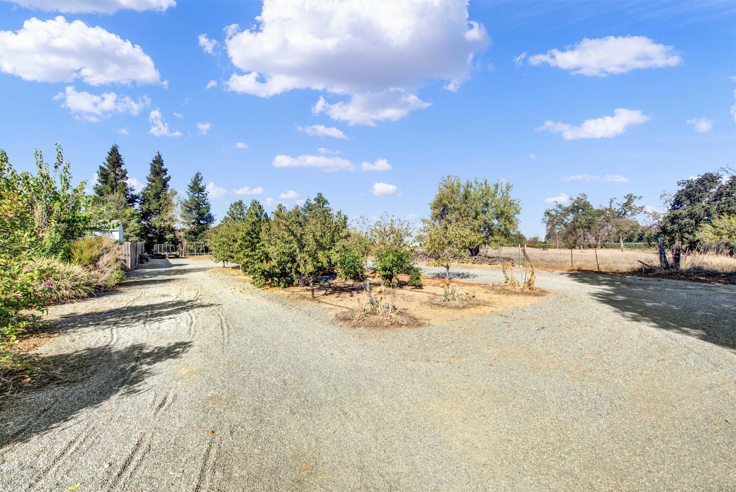 2110 Kirkwood Road Corning, CA 96021 - Photo 60 of 72 Gallery Image 60