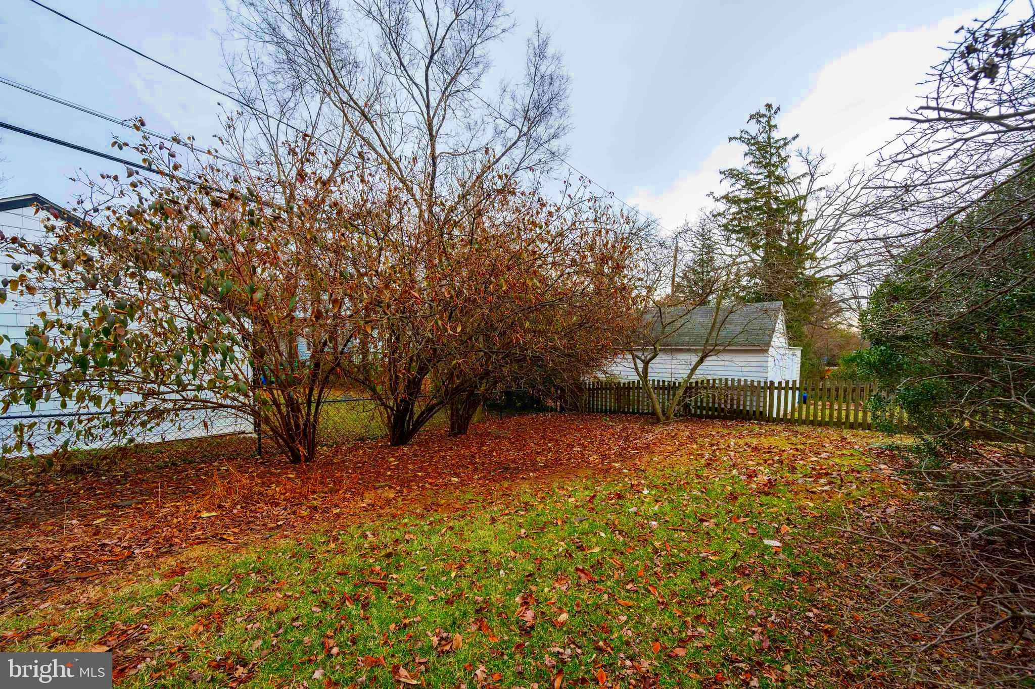 706 Anneslie Road Baltimore, MD 21212 - Photo 54 of 56 Rear View of Home