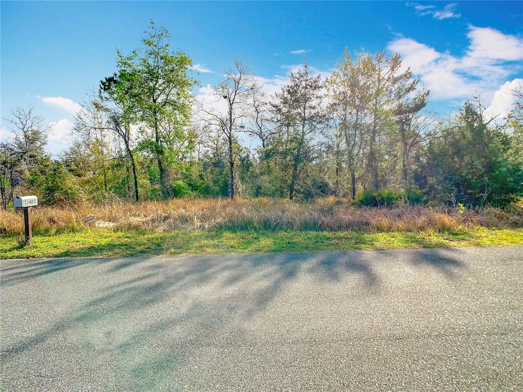 11426 Maripoe Road Weeki Wachee, FL 34614 - Photo 1 of 1 Gallery Image 1