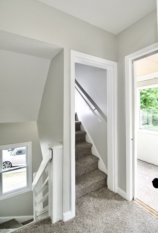 18-20 Rifle Street Springfield, MA 01105 - Photo 36 of 41