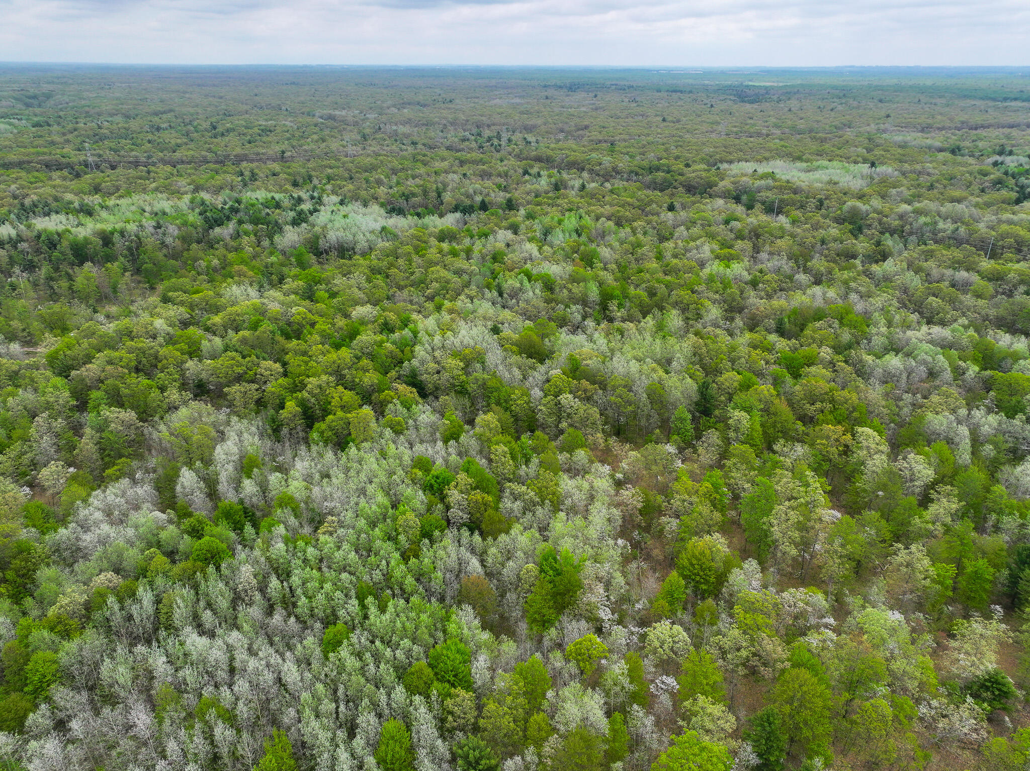 12.19 Rapp Drive Twin Lake, MI 49457 - Photo 11 of 48 DJI_20260512131858_0535_D