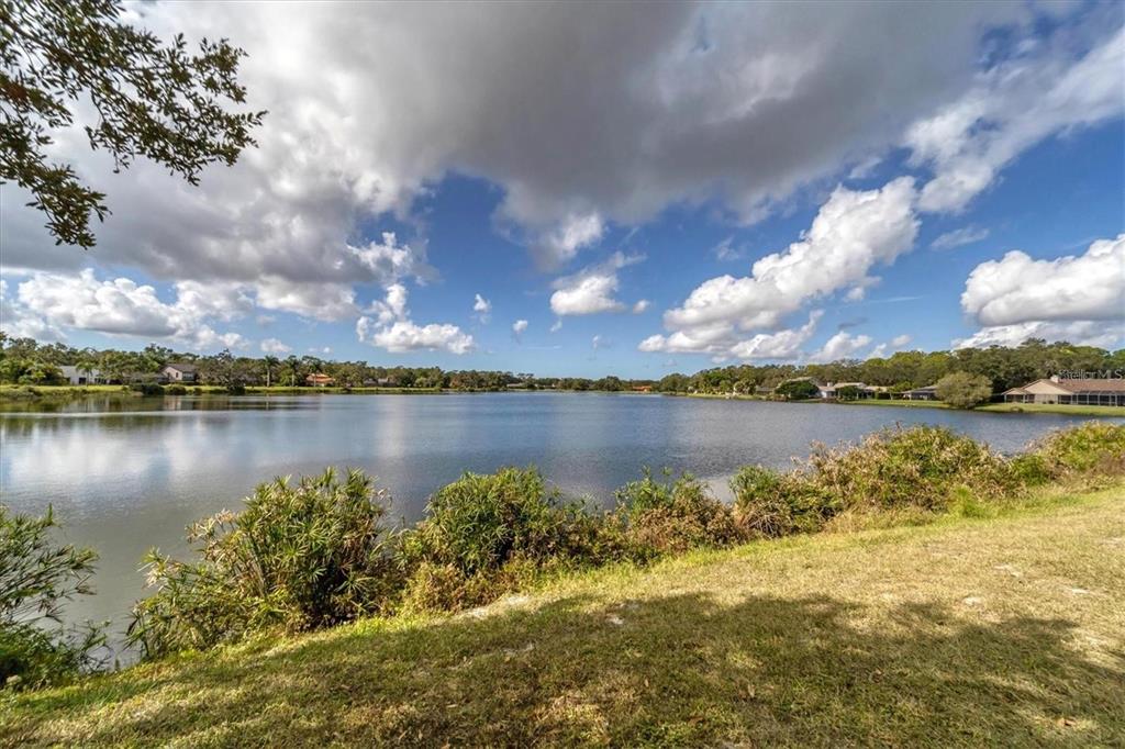 4541 Charing Cross Road Sarasota, FL 34241 - Photo 39 of 40 Gallery Image 39