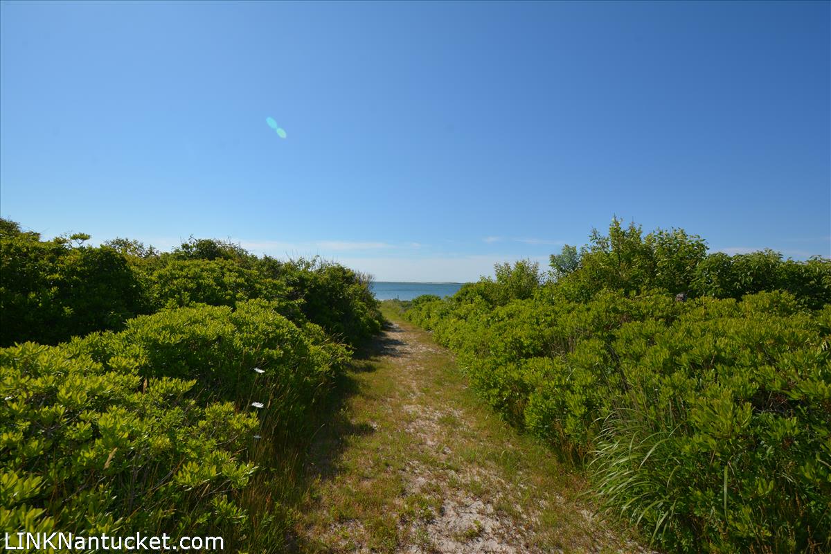 31 Pocomo Road Nantucket, MA 02554 - Photo 6 of 19 Gallery Image 6