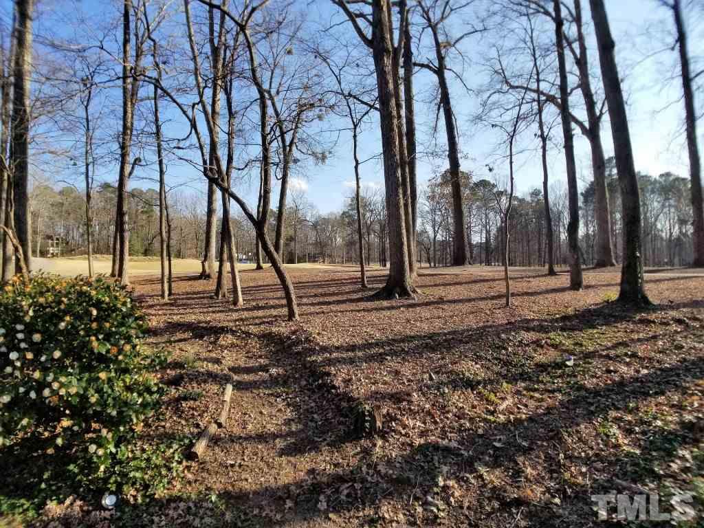 111 Queensferry Road Cary, NC 27511 - Photo 22 of 22