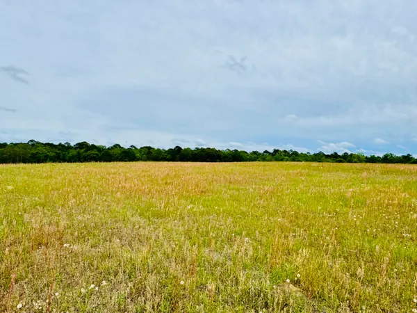 $133,900 | 55 Andalusia Al, Florala, AL 36442