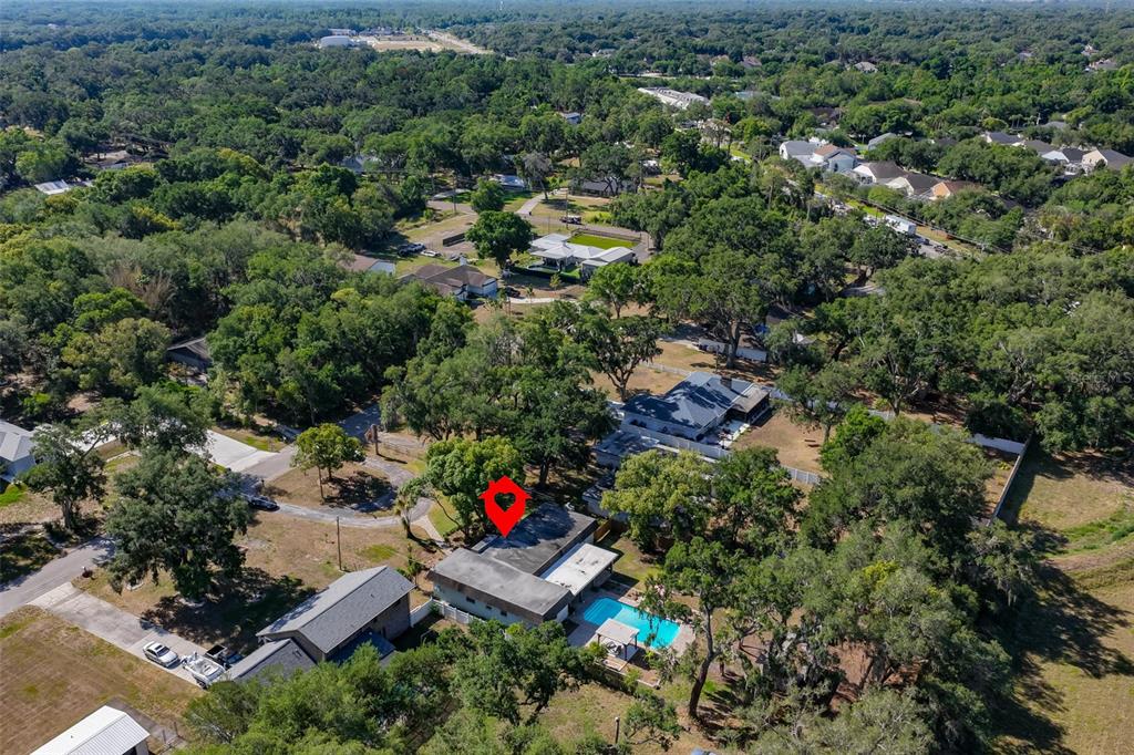 3506 Hillgrove Road Valrico, FL 33596 - Photo 55 of 61