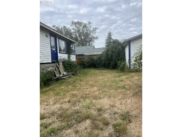 a view of a backyard