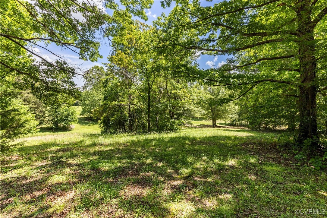 2137 Dogtown Road Goochland, VA 23063 - Photo 33 of 40 View of nature