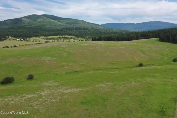 $250,000 | 20 Acres Johns Creek Rd Street, St. Maries, ID 83861