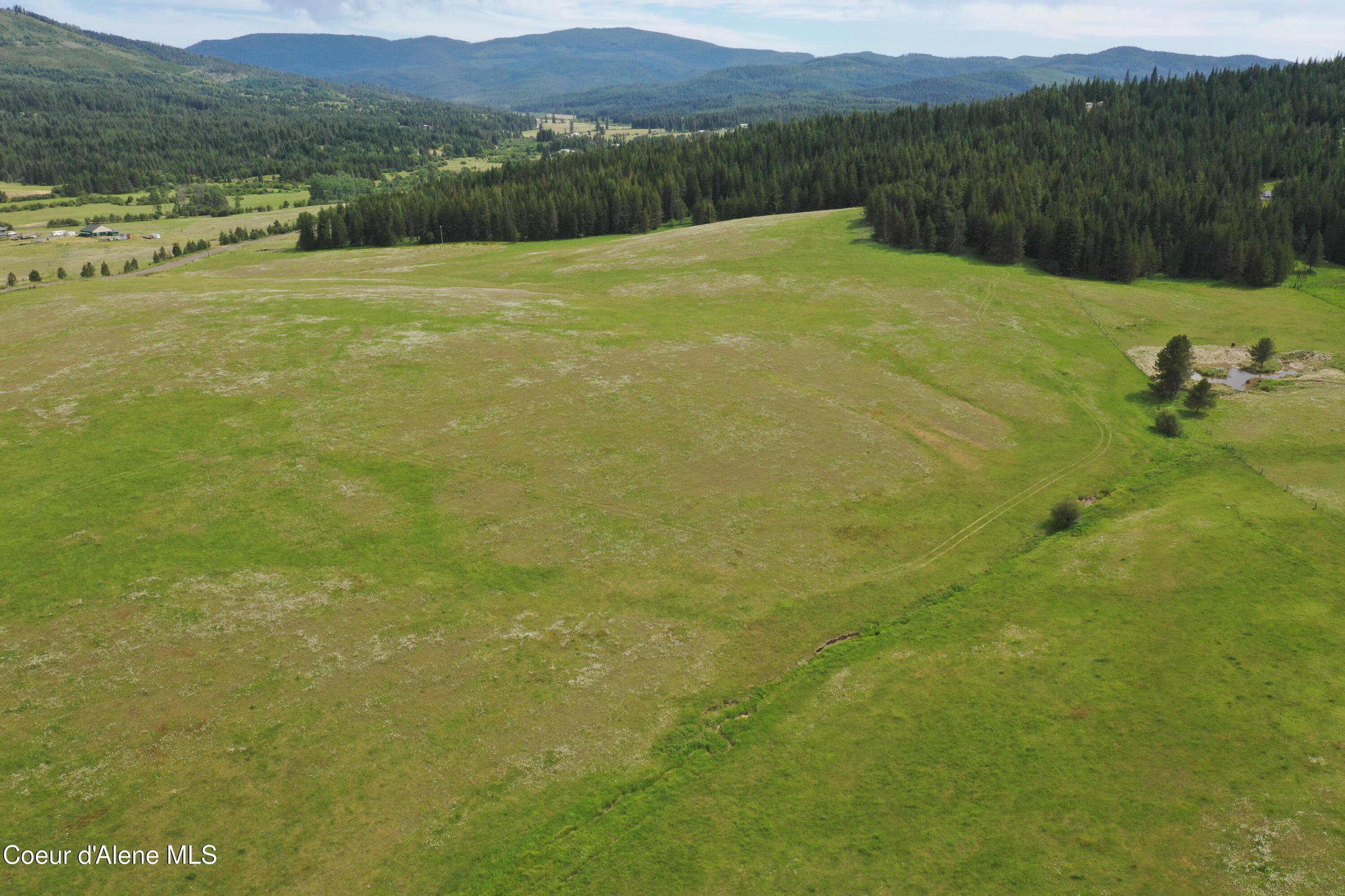 20 Acres Johns Creek Rd Street St. Maries, ID 83861 - Photo 3 of 11 DJI_0004