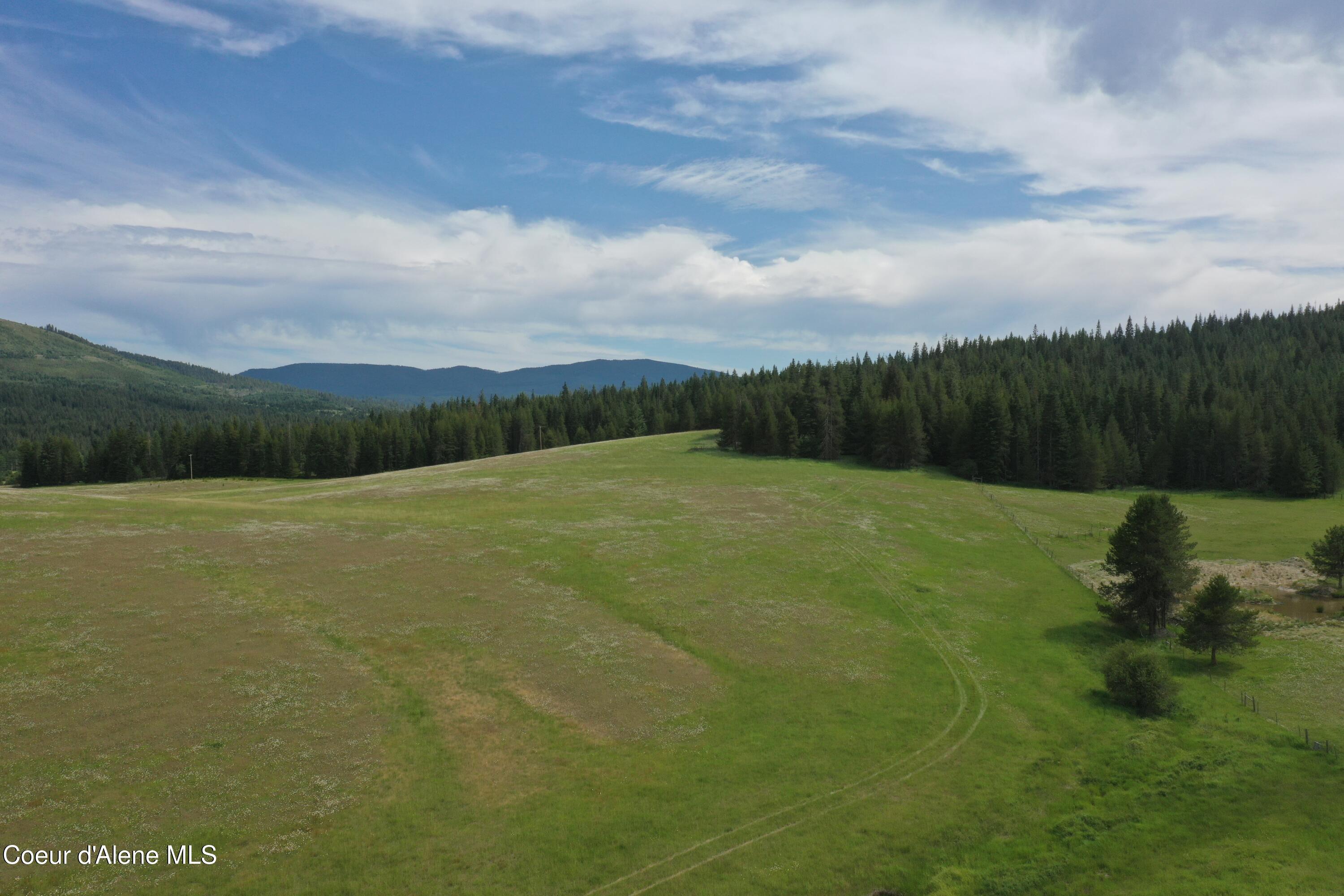 20 Acres Johns Creek Rd Street St. Maries, ID 83861 - Photo 6 of 11 DJI_0021
