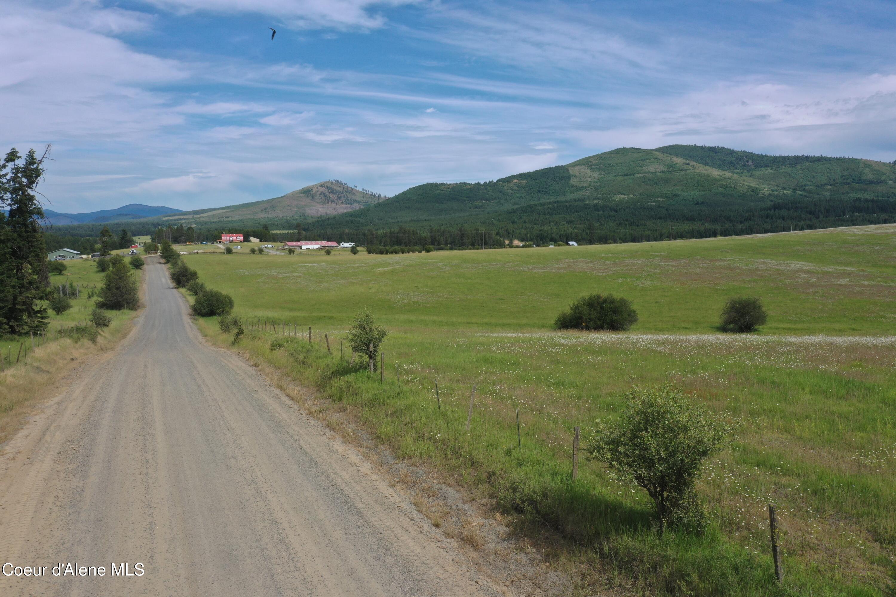 20 Acres Johns Creek Rd Street St. Maries, ID 83861 - Photo 7 of 11 DJI_0022