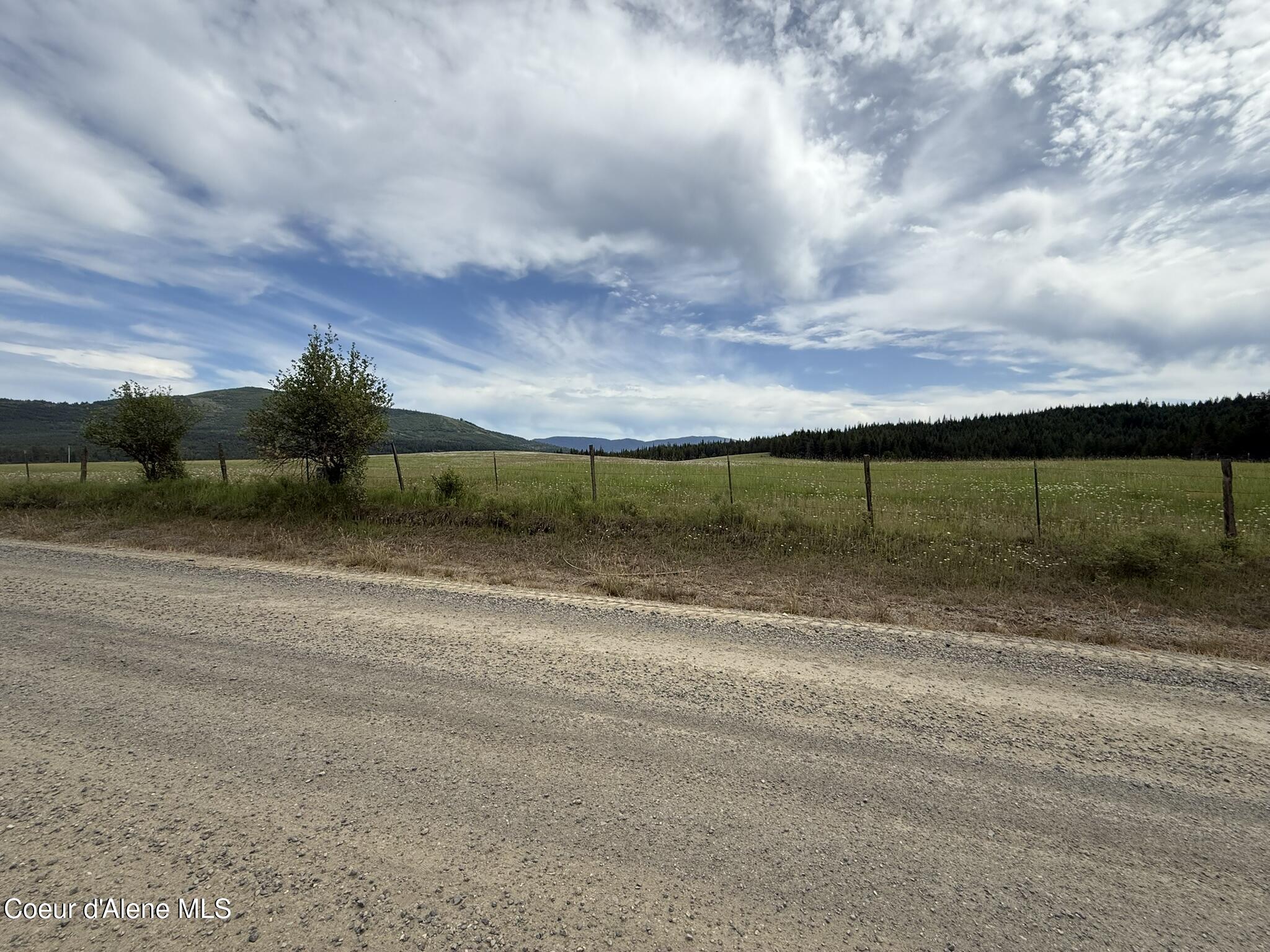 20 Acres Johns Creek Rd Street St. Maries, ID 83861 - Photo 8 of 11 IMG_6754