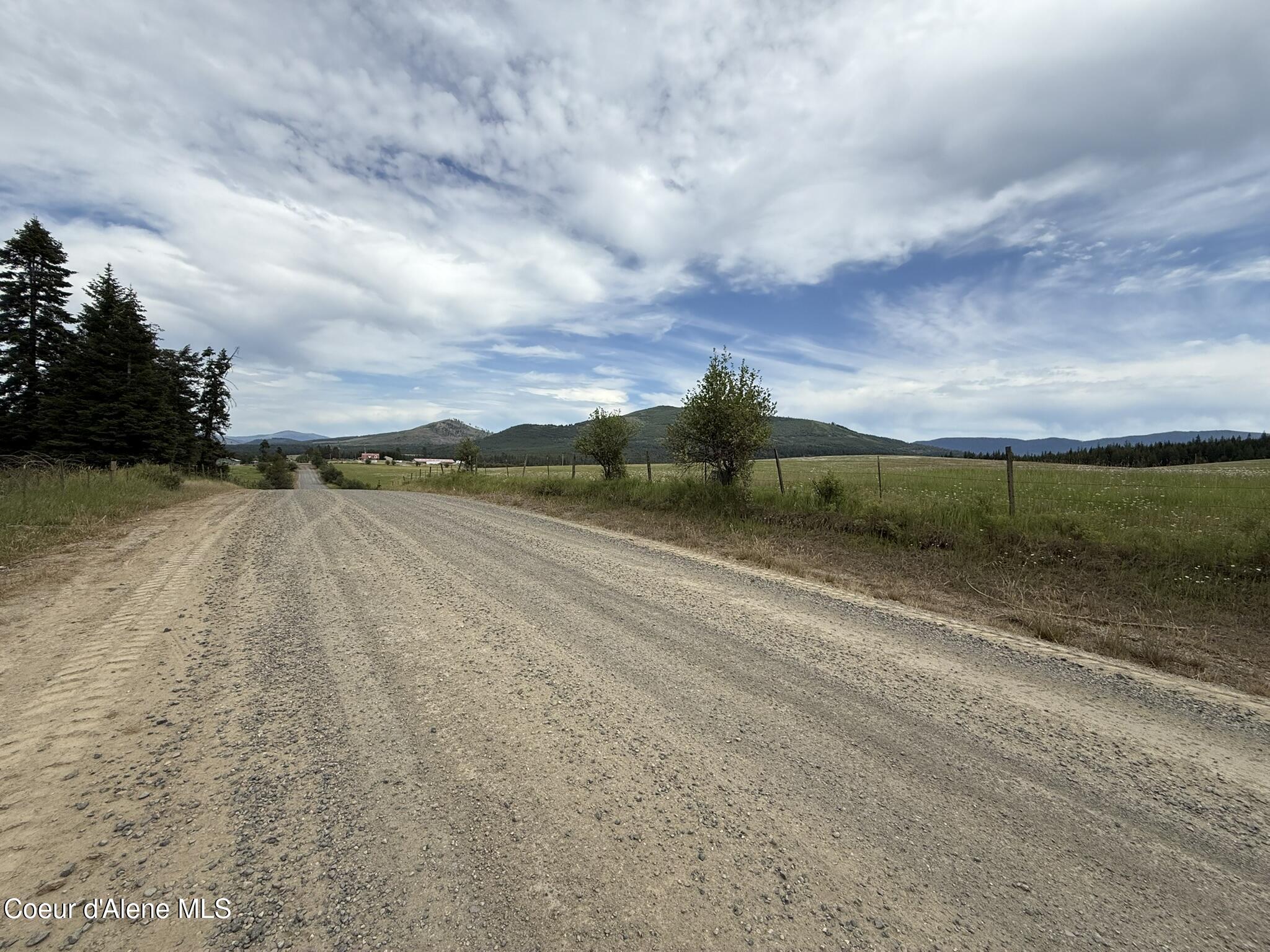 20 Acres Johns Creek Rd Street St. Maries, ID 83861 - Photo 9 of 11 IMG_6755