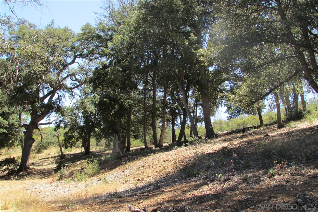 1060 Julian Estates Road Julian, CA 92036 - Photo 4 of 16 Gallery Image 4