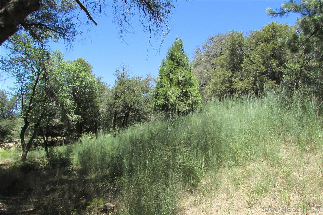 1060 Julian Estates Road Julian, CA 92036 - Photo 5 of 16 Gallery Image 5
