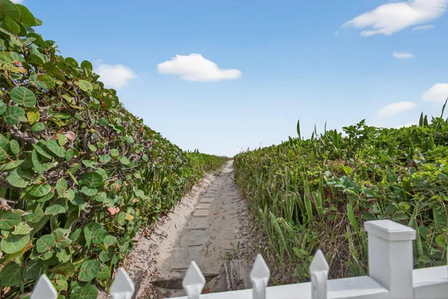 a view of a swimming pool with a garden