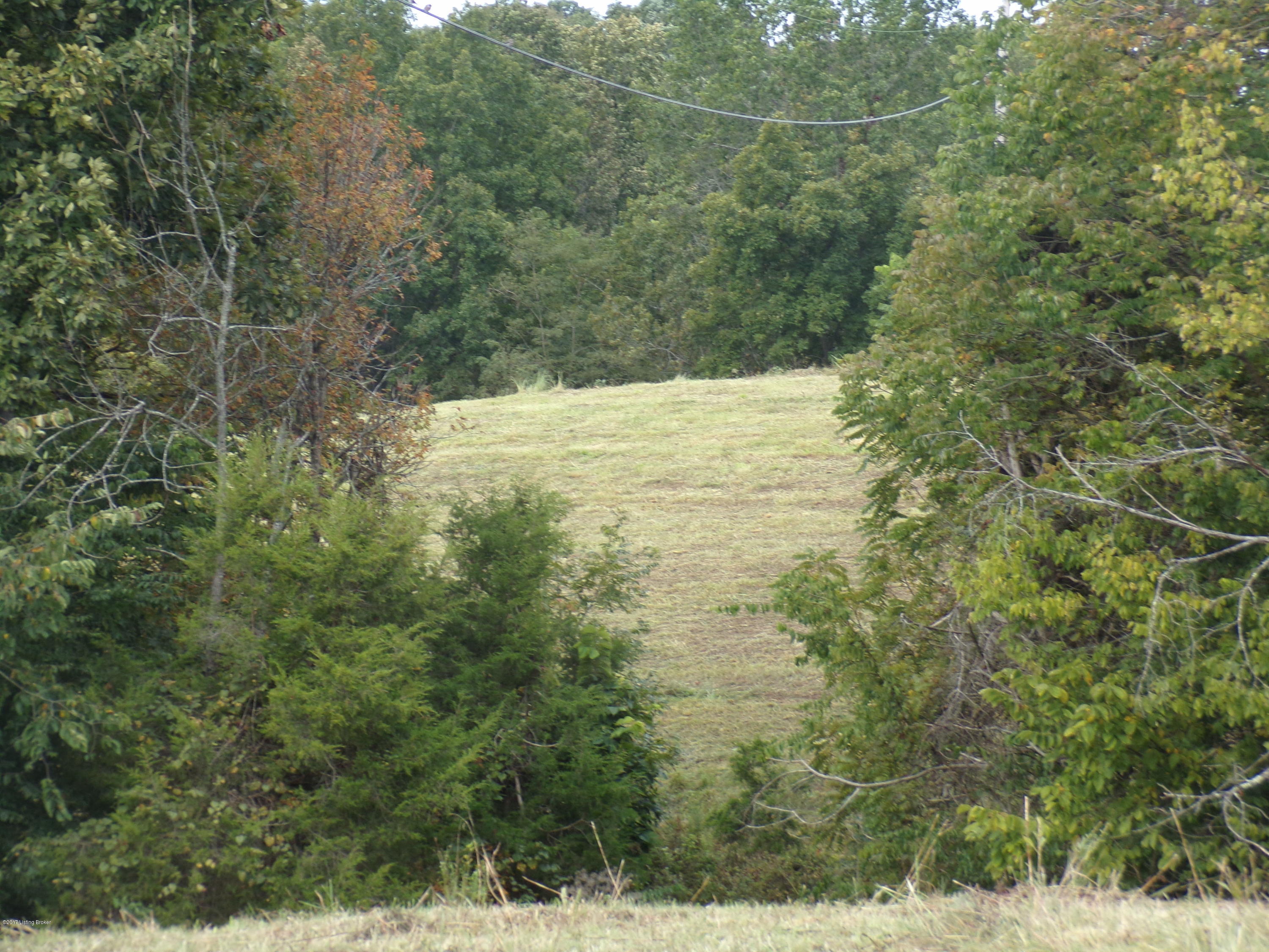 16 East Goodlett Road Mount Eden, KY 40046 - Photo 2 of 3 113_2739