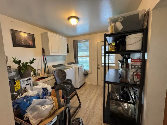 a tree in the middle of a yard