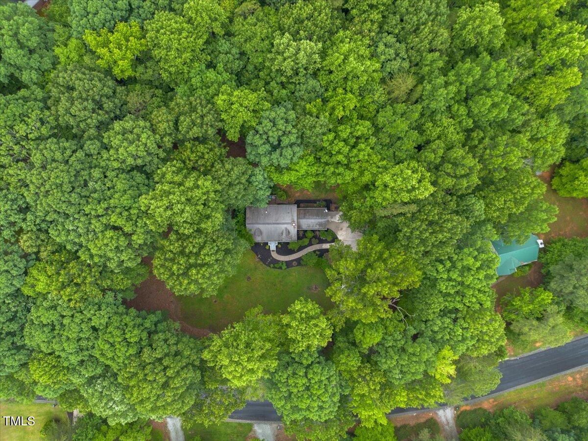 1205 Elysian Way Rougemont, NC 27572 - Photo 42 of 46 70-DJI_0124