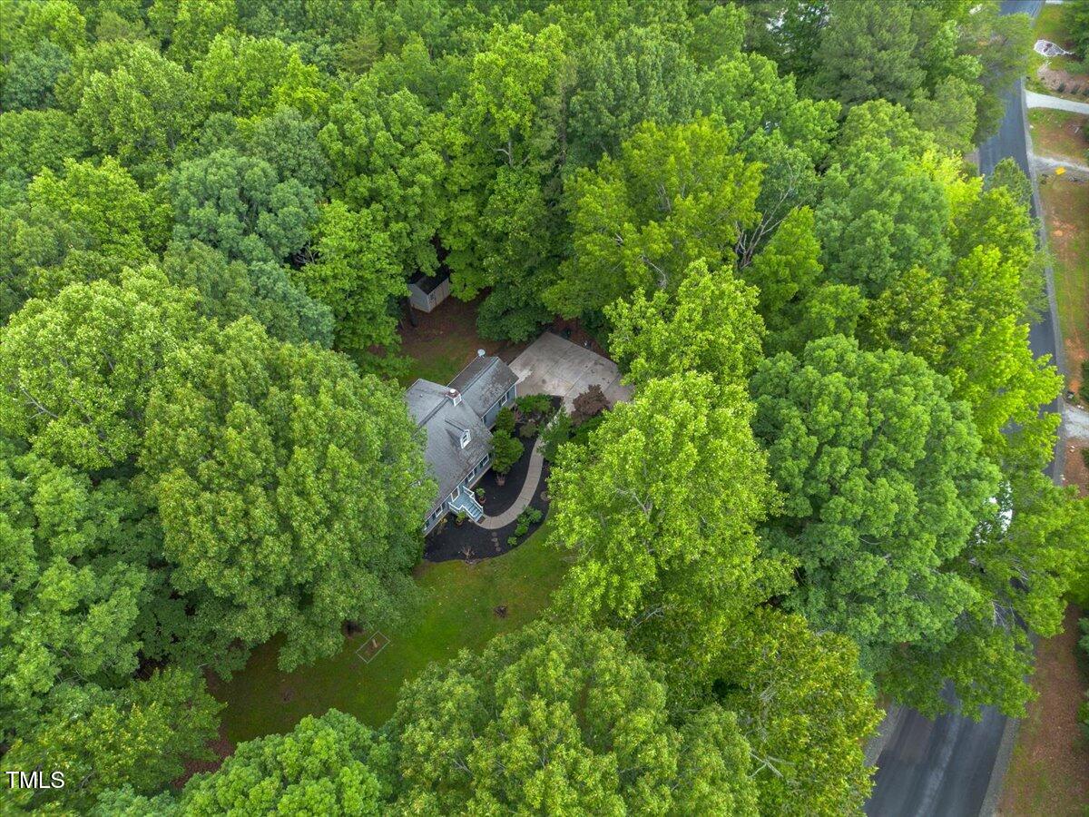 1205 Elysian Way Rougemont, NC 27572 - Photo 45 of 46 68-DJI_0120