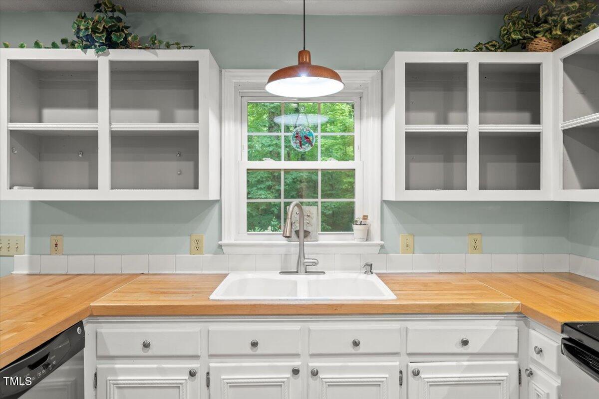 1205 Elysian Way Rougemont, NC 27572 - Photo 5 of 46 21-P1290765