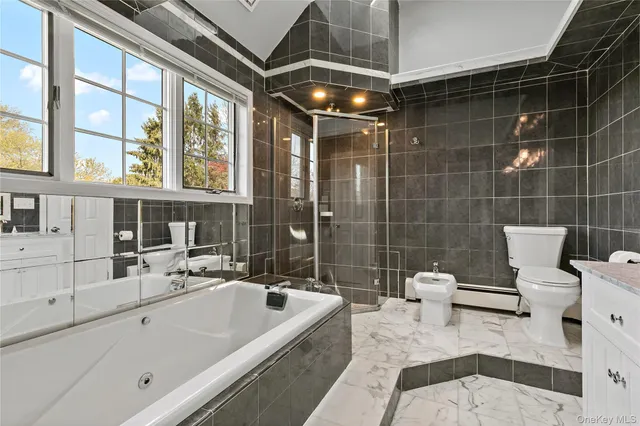 a bathroom with a tub a toilet and a shower