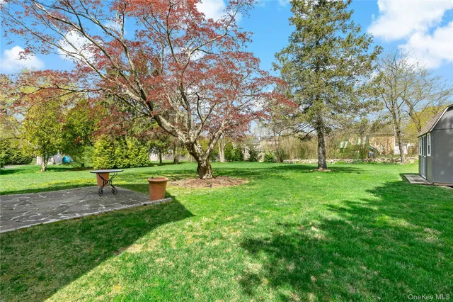 a park with lots of green space and trees