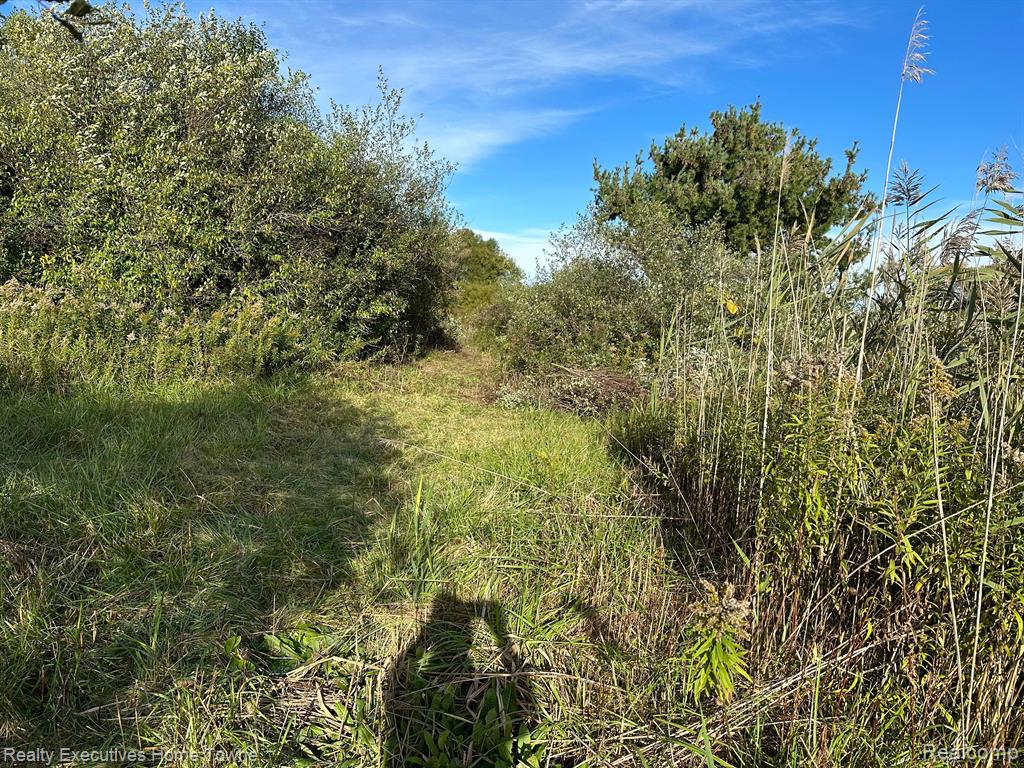 0 Wildcat Road Jeddo, MI 48032 - Photo 15 of 15