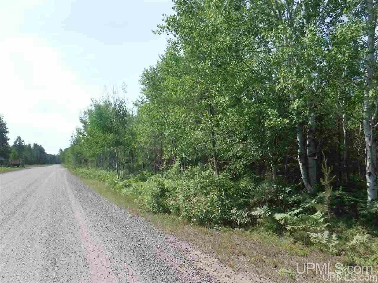 Tbd South Little Traverse Road Lake Linden, MI 49945 - Photo 3 of 7