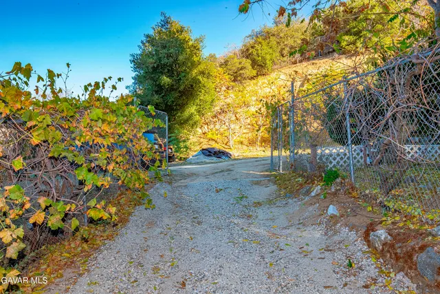 a view of a yard with plants and tree