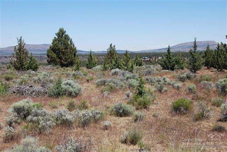 5070 Southwest Badger Road Terrebonne, OR 97760 - Photo 12 of 22 Level, easy build, numerous building sit