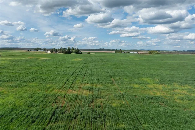 $450,000 | Nka1 Nka1 Reardan Road, Reardan, WA 99029