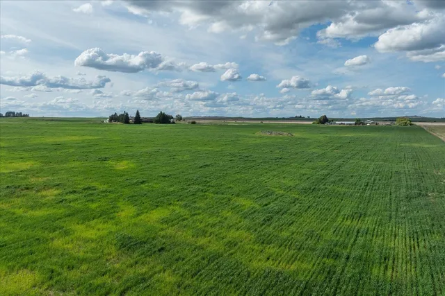 $450,000 | Nka1 Nka1 Reardan Road, Reardan, WA 99029