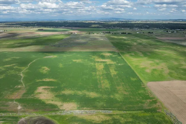 $450,000 | Nka1 Nka1 Reardan Road, Reardan, WA 99029