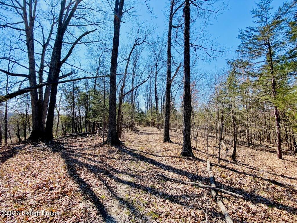2723 Tatum Ridge Road Willisburg, KY 40078 - Photo 14 of 42 014_79791053