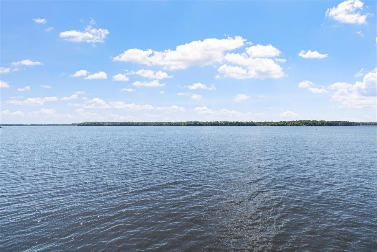 Parramore Shores Road Tallahassee, FL 32310 - Photo 4 of 31