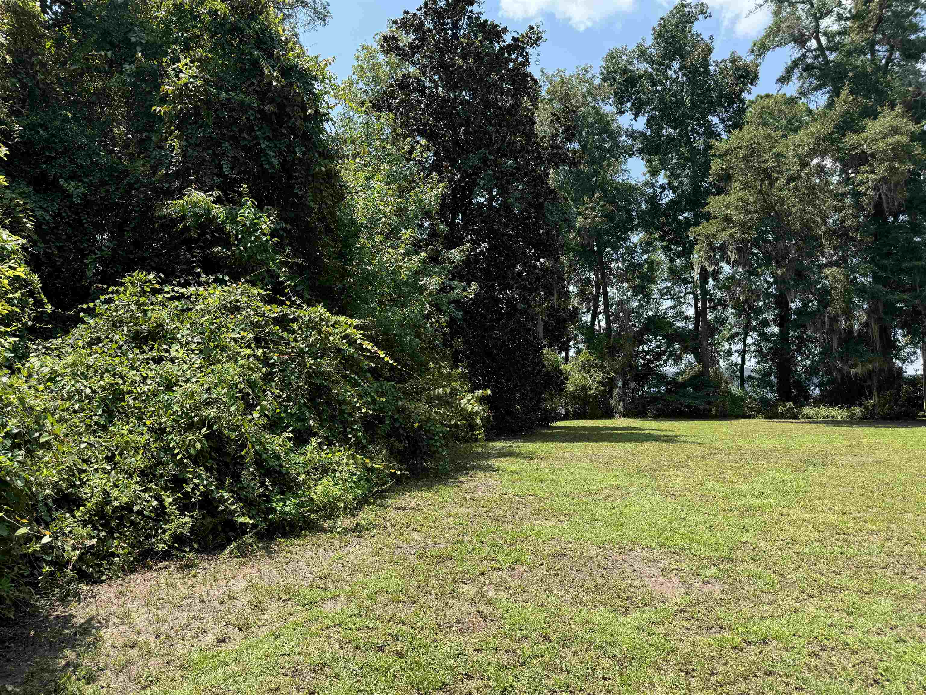 Parramore Shores Road Tallahassee, FL 32310 - Photo 8 of 31