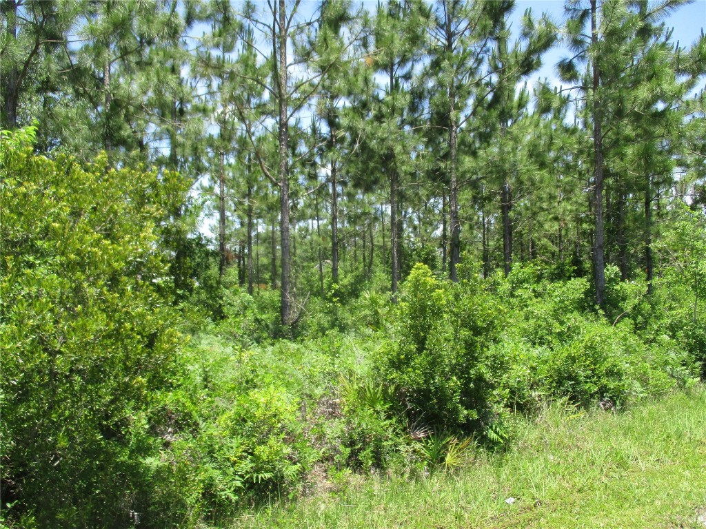 West 10th Avenue Hilliard, FL 32046 - Photo 2 of 10