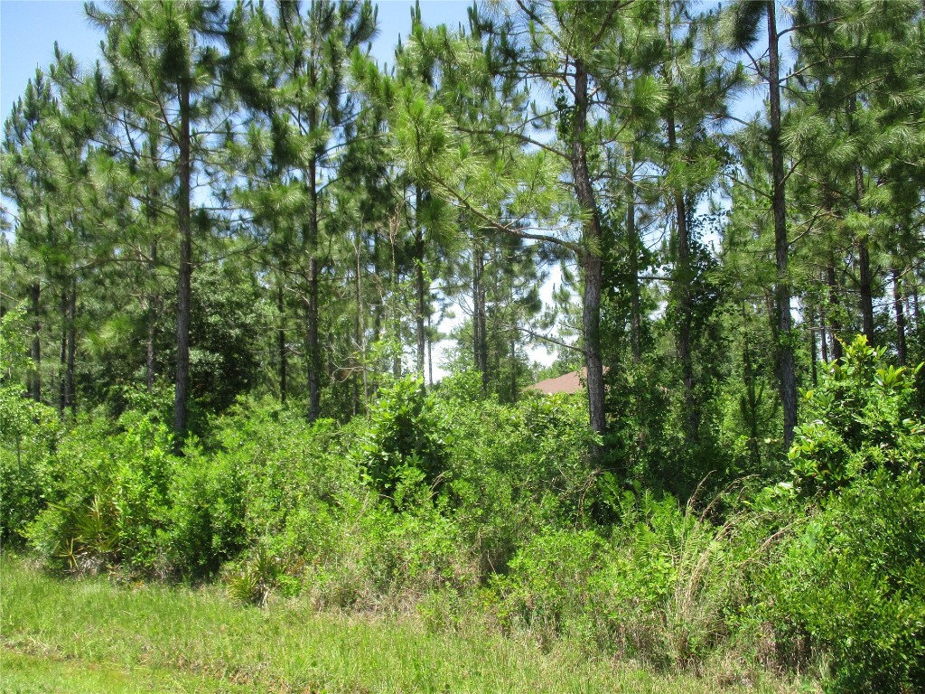 West 10th Avenue Hilliard, FL 32046 - Photo 3 of 10