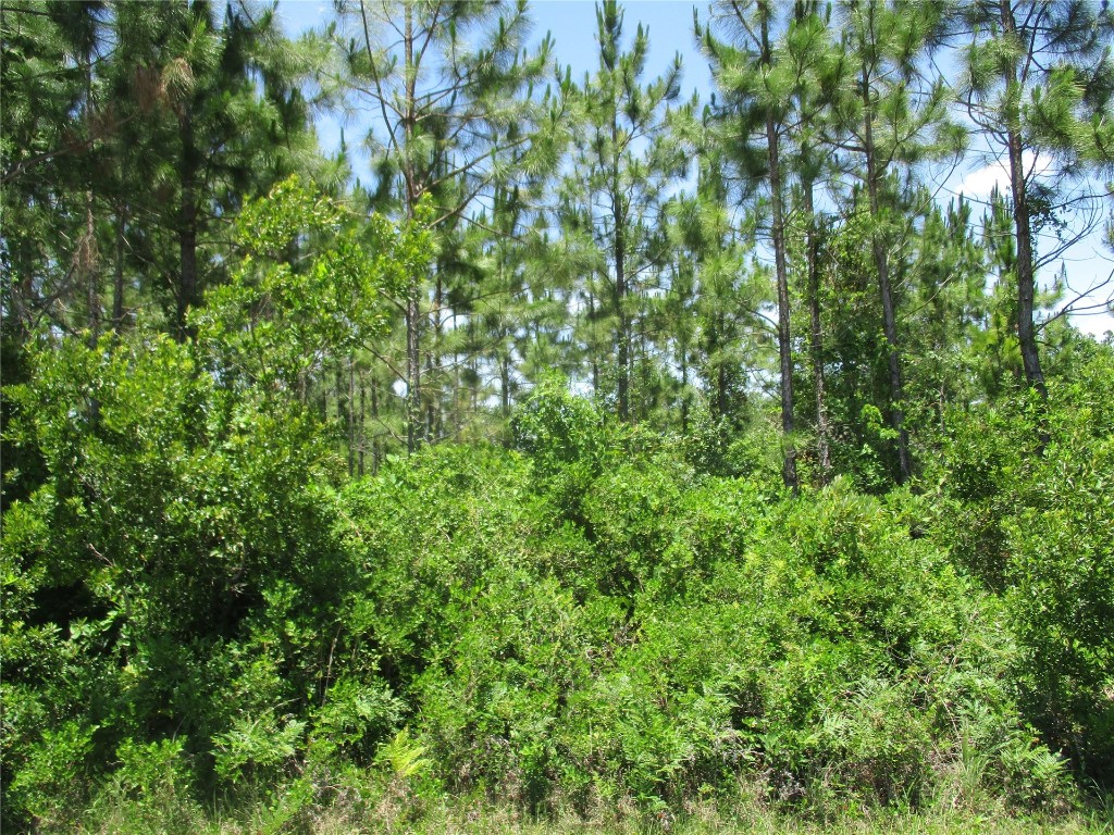 West 10th Avenue Hilliard, FL 32046 - Photo 4 of 10