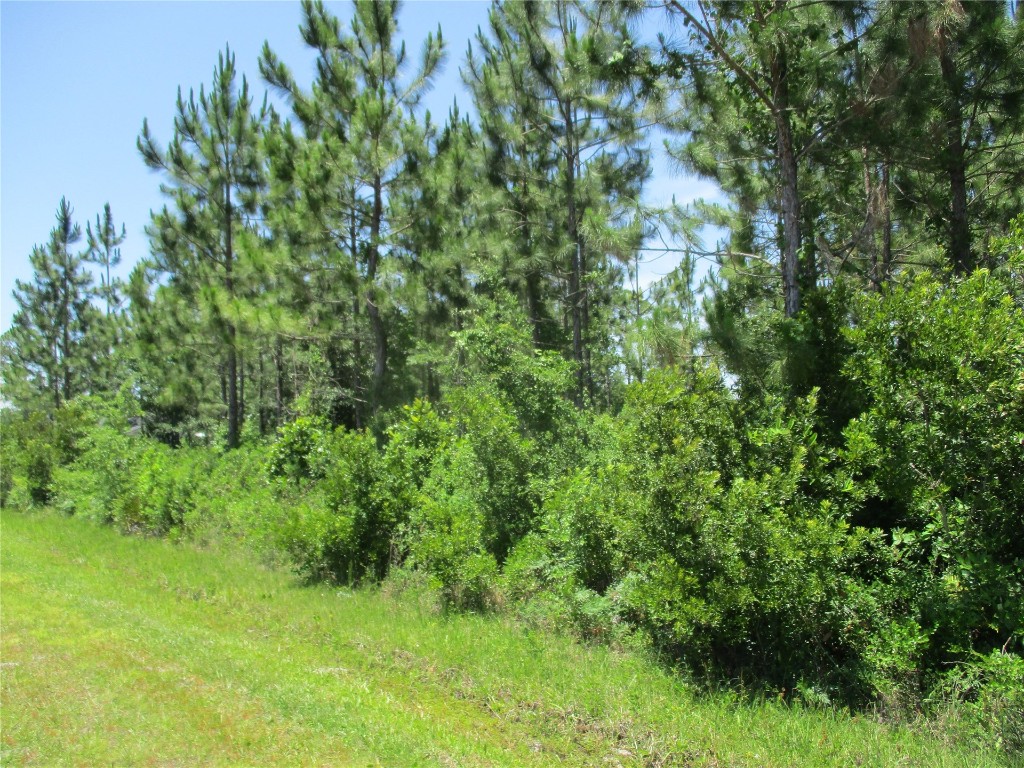 West 10th Avenue Hilliard, FL 32046 - Photo 5 of 10